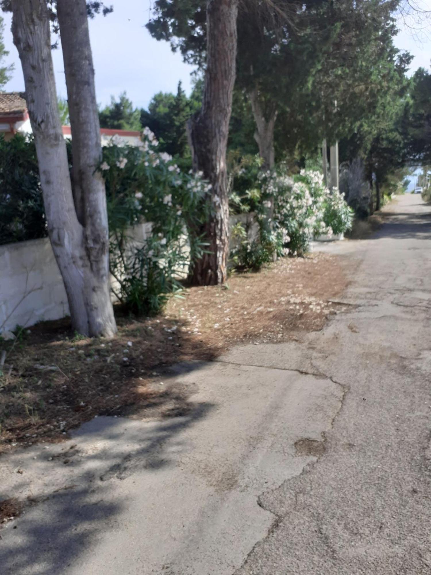 Villetta Dei Fiori, Vicino Spiaggia Di Punta Pizzo Gallipoli Kültér fotó